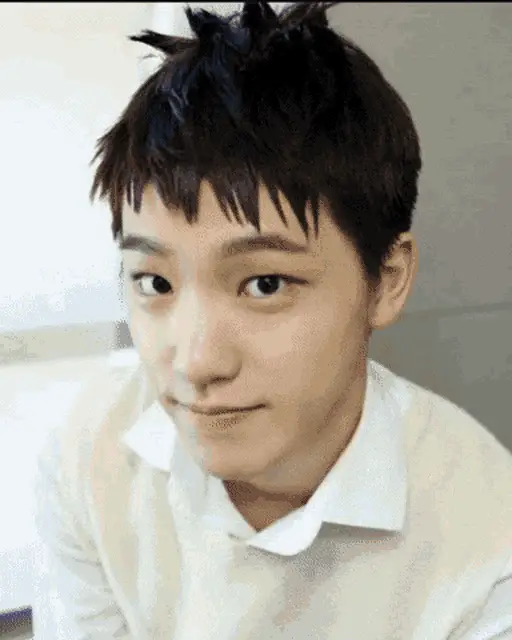 Dino from Seventeen: Mansae Era Looks