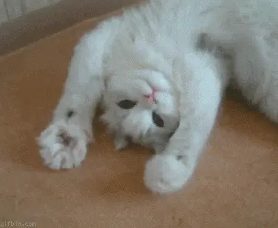 Hello