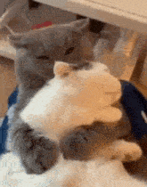 GIF загружаны Mariam