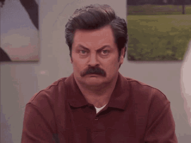 Ron Swanson's Annoyed Glare (Parks And Rec)