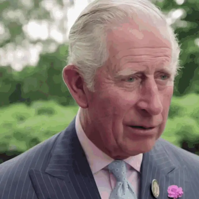 King Charles III in Royal Attire