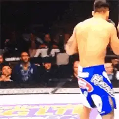 UFC Fighter in the Octagon