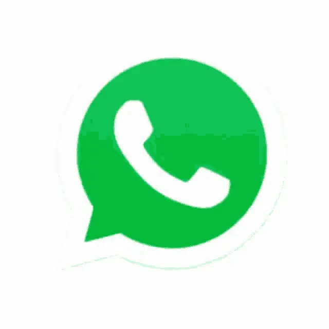 WhatsApp Logo Icon