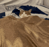 GIF