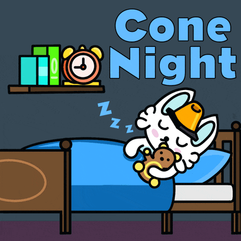 Cone Night: Cute Cat Sleeping with Teddy