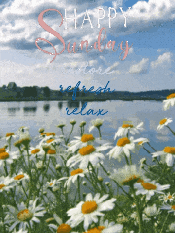 Happy Sunday: Restore, Refresh, Relax