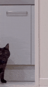 GIF caricata da Khi
