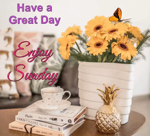 Enjoy Sunday: Have a Great Day
