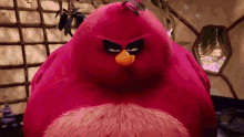 GIF
