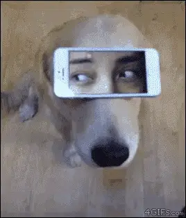Dog with Smartphone Eyes Illusion