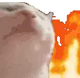 Catjam Fire Breathing Cat Animated Sticker