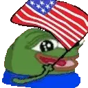 Pepe Holding USA Flag