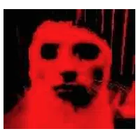 Cat Meme Cat Scary Sticker