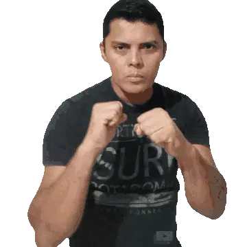 Alex Castro Boxing Punch Sticker