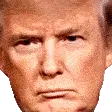 Donald Trump Smug Look