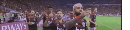 Mengão Sem Freio Flamengo Goal Celebration