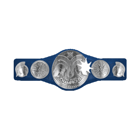 WWE SmackDown Tag Team Championship Belt