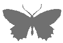 Grey Butterfly Pixel Art Silhouette Sticker