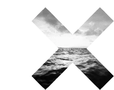 Ocean X Graphic Sticker