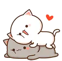 attachment