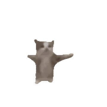 Dancing Cat Missile Explosion - Yippe Meme