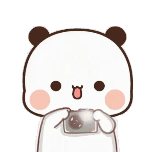 Sseeyall Bubu Dudu Panda Taking Photo Sticker