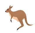 Jumping Kangaroo Dm4uz3 Foekoe Sticker
