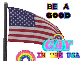 American Flag: Be a Good Gay in the USA