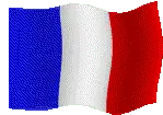 Drapeau France Waving Flag Sticker