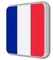 France Flag Capsule Rotating Sticker