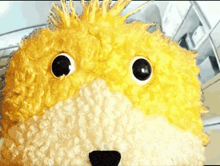 GIF