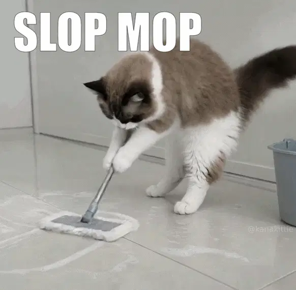 AI Slop Mop