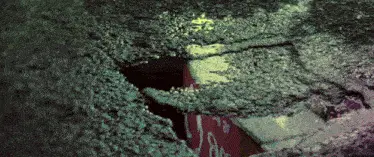 Deliric Deliric Eroare