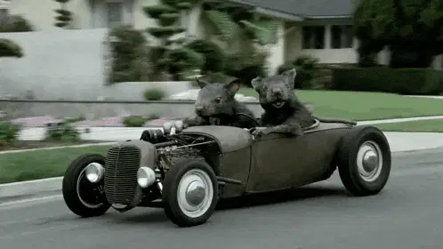 Ratas Coche