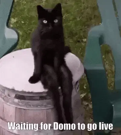 Domo go live