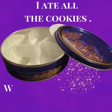I ate all the cookies. When do the sewing supplies show up?