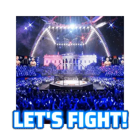Let's fight! UFC Freedom 250 meme