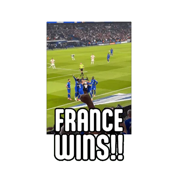 France won the world cup match