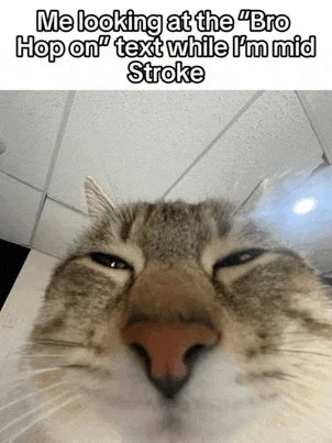 D Meme