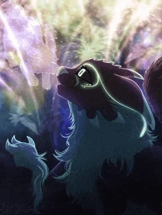 Rubi Illusion Meme