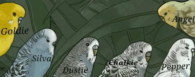 One Meme