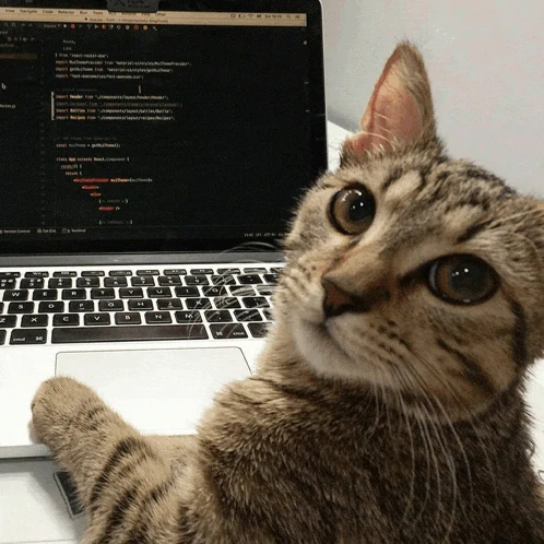 Code Coder Meme