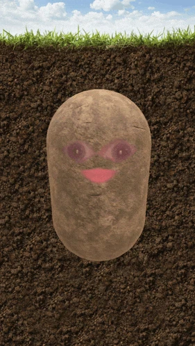Potatoz Meme