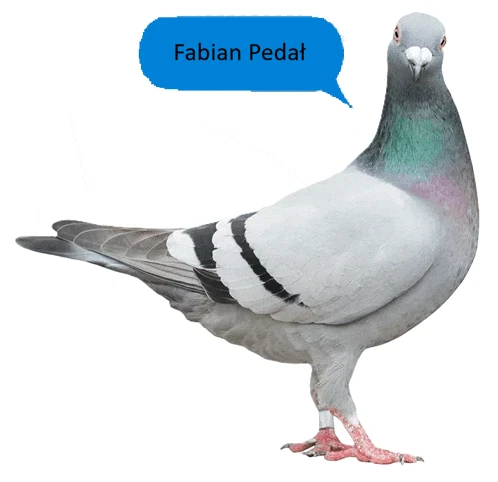 Fabian Pedał Meme
