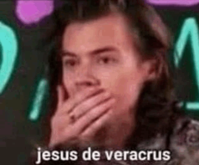 Harry Styles Meme