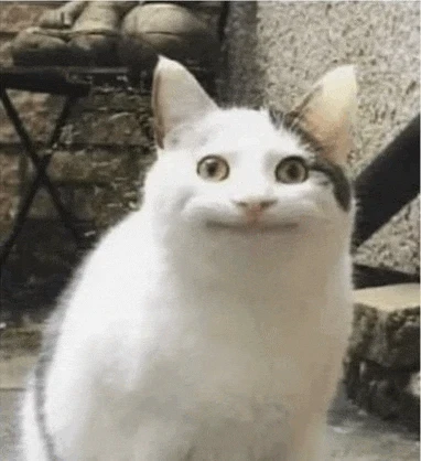 Smile Cat Meme
