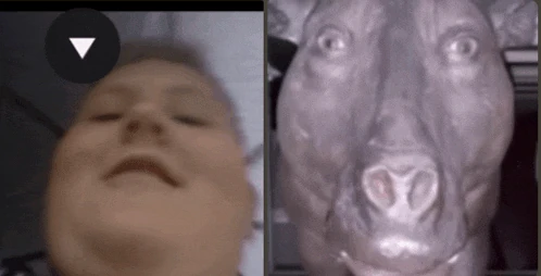 Piga Stanislav Piga Meme