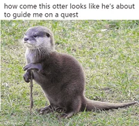 Quest Otter Meme
