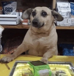 Ser Leandro Dog Meme