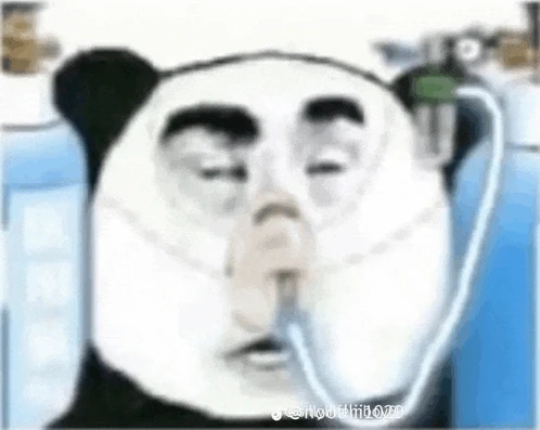 Panda Meme
